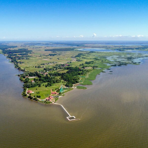 kateris siluteje - ventes svyturys